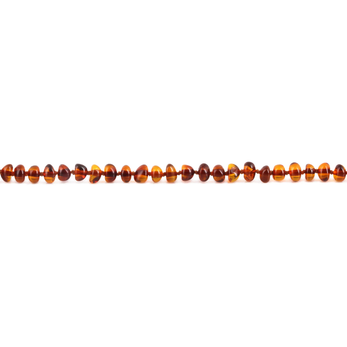 Adult Baltic Amber Necklace. Roundel Cognac 5mm - XR53C