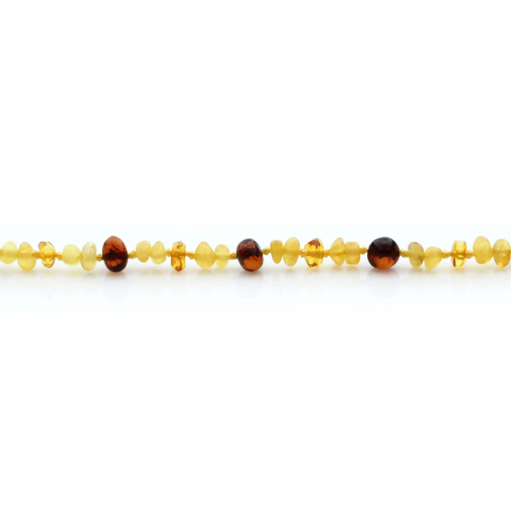 Adult Exclusive Baltic Amber Necklace. Limited Edition LE25