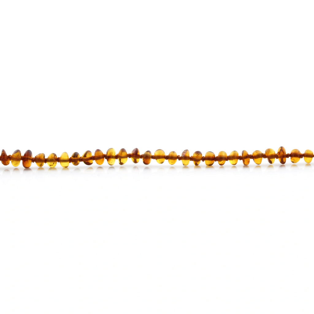 Adult Baltic Amber Necklace. Roundel Cognac 5mm - RO51