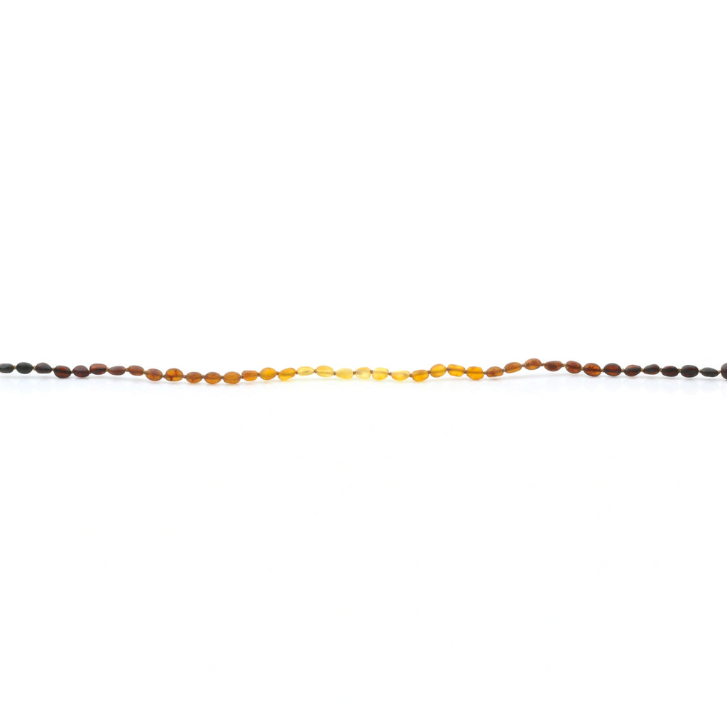 Adult Baltic Amber Necklace. Olive Rainbow Matte 5mm - OL40