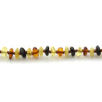 Adult Baltic Amber Necklace. Roundel Multicolour 5mm - RO60