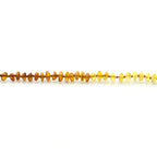 Adult Baltic Amber Necklace. Roundel Rainbow 5mm - RO81