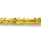 Adult Baltic Amber & 925 Sterling Silver Clasp Necklace 45cm. Ba Yellow s.