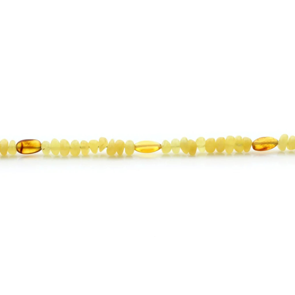 Adult Baltic Amber Necklace with 925 Sterling Silver Clasp. EE02