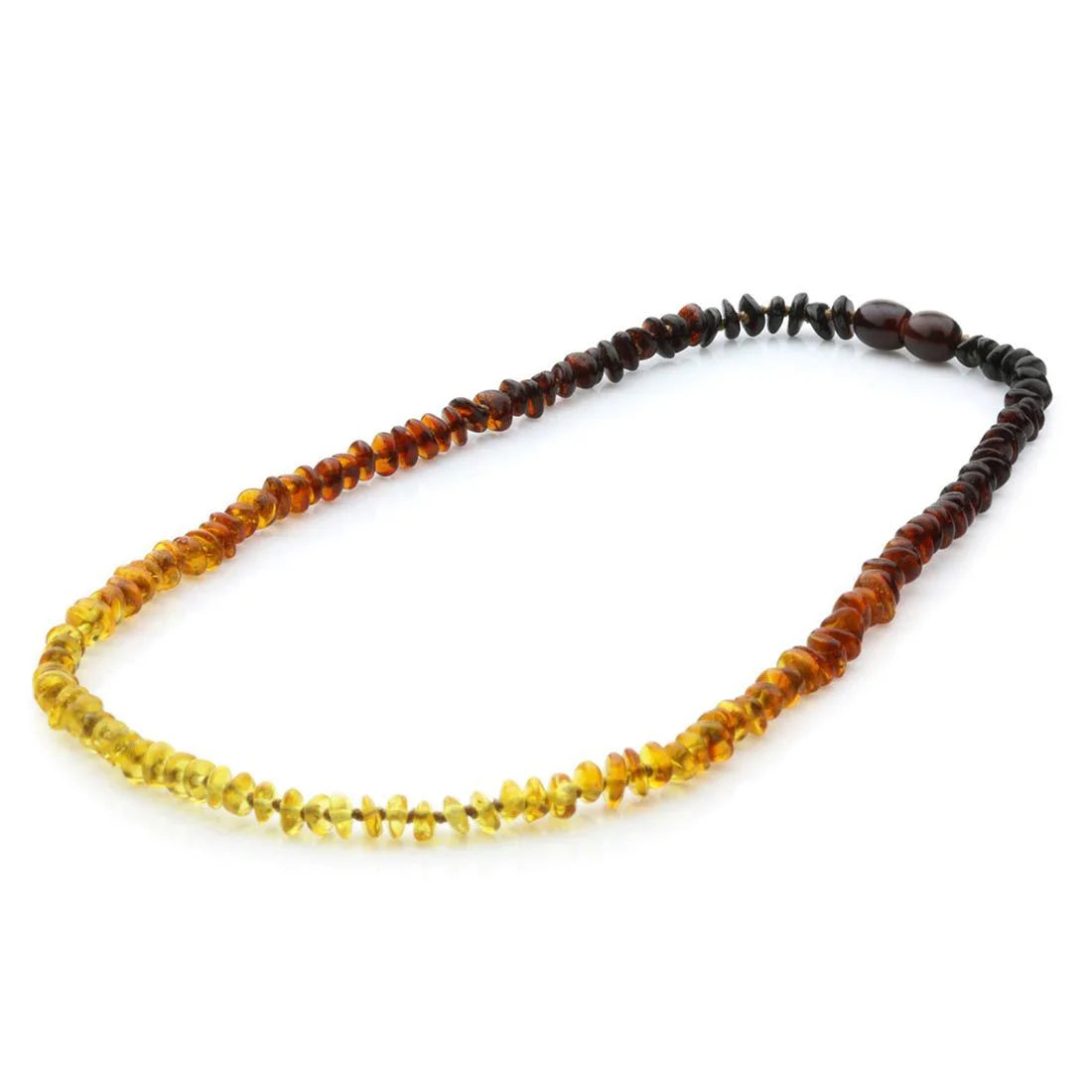Adult Baltic Amber Necklace. Round Flat Rainbow II 5x2 mm